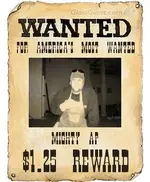 wantedposter3.webp