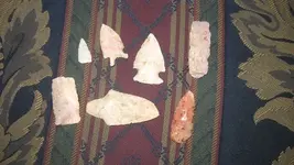 4-23-2010 hunt 001.webp