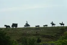 RES01001.webp