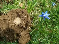 APRIL 6TH OLD CURCH GROUNDS BARBER HALF 012 [].webp