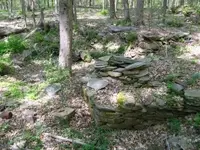 MAY 2nd CELLAR HOLES WITH RON KG and IH 001 [].webp