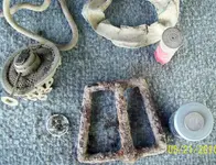 old woods finds day 2.webp