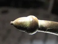 Mystery Relic Tip.webp