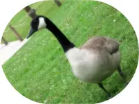 l_5f929ca35d8449bda5d5dcc7a043518f.webp