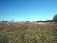 1600,s Dutch field.webp