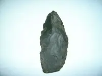 First Find.webp