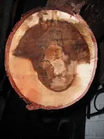 DSCF0377.webp