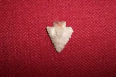 100_1092point.webp