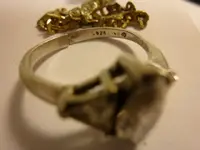 P1020050.webp