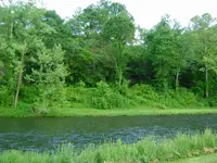phpWl2Rq1AM.webp