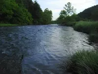 phpikfmyuAM.webp