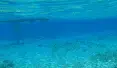 avatar_52516.webp