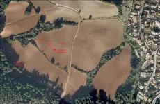 new fields 2010.webp