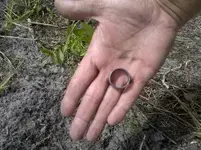 ring 2.webp