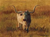 longhorn-print.webp