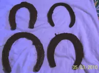 3 horse shoes 1 mule shoe.webp