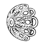 252%20Lg.webp
