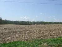 DSCF3081.webp