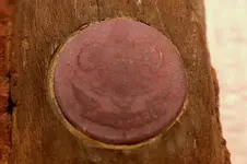 Boy Scout knife emblem.webp