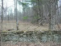103_0511.webp
