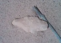 IMG00043-20100403-1240[1].webp
