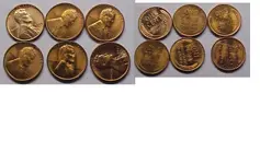 nice wheats.webp