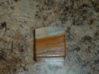DSCF0004.webp