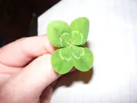 lucky 003.webp