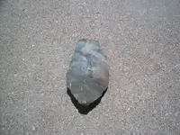 100_6954.webp