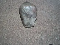 100_6955.webp