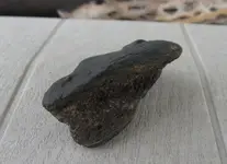 fossil2.webp