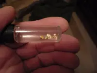 gold 004.webp