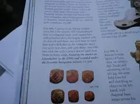info 001.webp