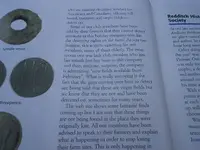 info 003.webp
