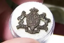 british insignia close up 1 at 75%.webp