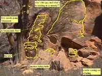 BirdShadow Merged.webp