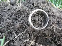 ring02.webp