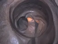 pothole.webp
