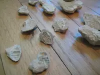 BHshellcross1.webp