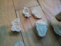 BHshellcross3.webp