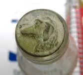 dog 005.webp