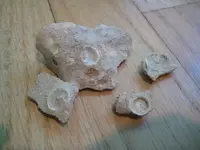 BHshellbottoms.webp