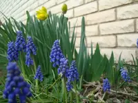 04-01-10 006.webp