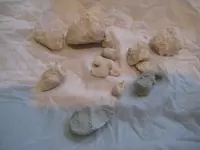 BHbonebits.webp