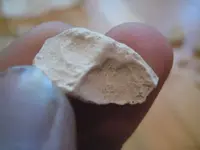 BHbonebitsBEST.webp