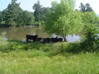 Out & About Today 005.webp