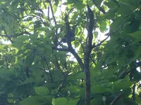Out & About Today 004.webp