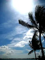 BH1_2.webp