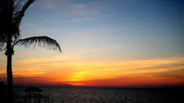 BH2_2.webp
