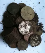 052110b.webp